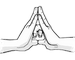 hands:bird