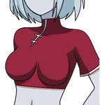 Short Top #5