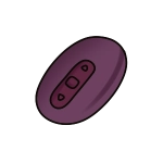 The vibrator's control